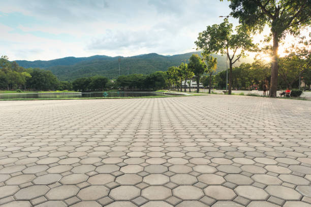 Best Decorative Driveway Pavers  in Lakeside, CA